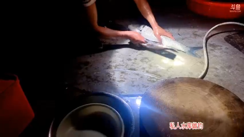 【2021-08-22 22点场】魅力生活i：晚上吃大草鱼