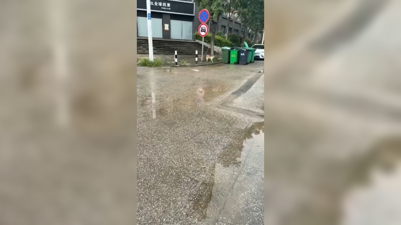 感谢你的宠爱