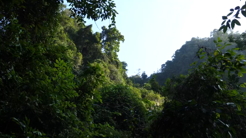 第三季S12装修-荒野传统风格1真人我的世界-空手发展-单人炼铁麻烦帮忙三连投币哦