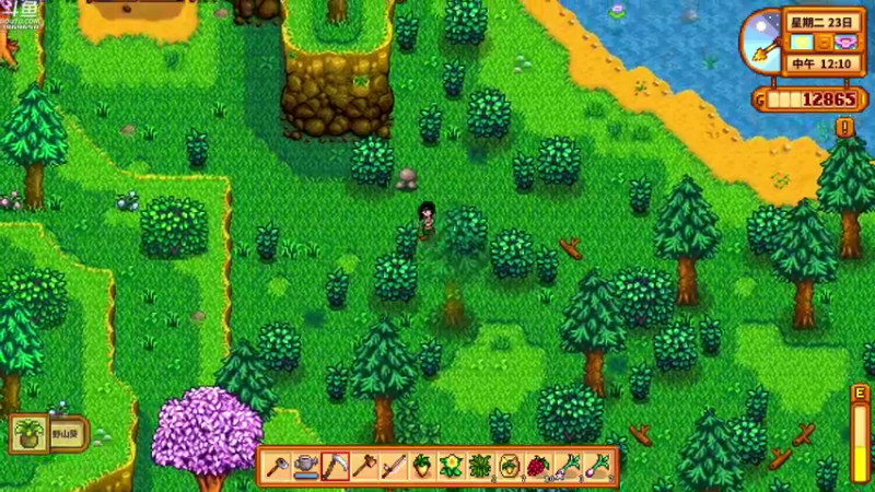 【2021-08-22 20点场】神隐的直播间：神隐：星露谷物语