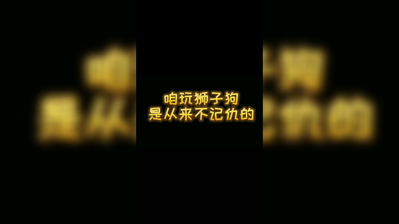 咱玩狮子狗是从来不记仇的！
