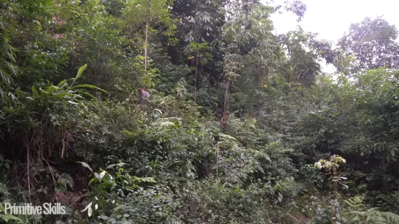 E116棉花和种植7真人我的世界-空手发展-单人炼铁麻烦帮忙三连投币哦