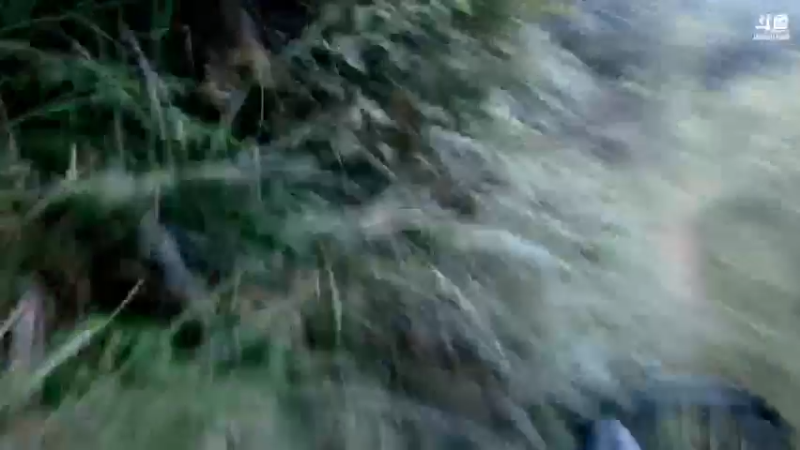 【2021-08-22 19点场】魅力生活i：甲鱼钓收获怎么样？