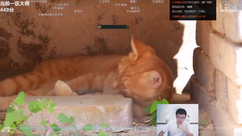 【2021-08-22 13点场】萌面酥：二台：一区冲500分 峡谷冲宗师！！