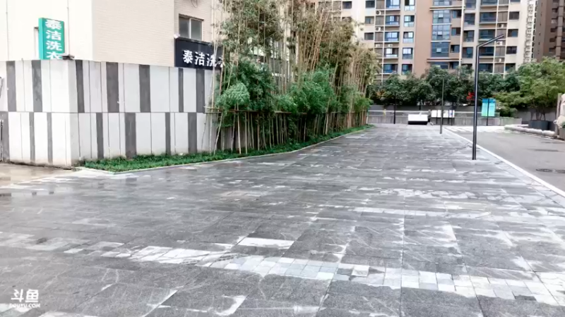 【2021-08-22 13点场】白鲨加菲：今天出门透透气47895