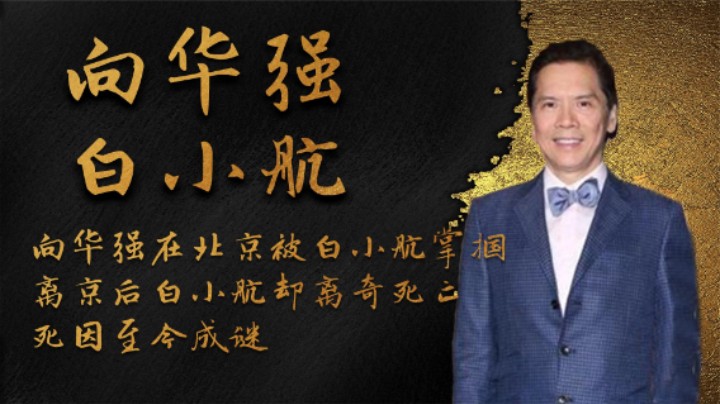 向华强在京被白小航掌掴，离京后白小航却离奇死亡，死因至今成谜