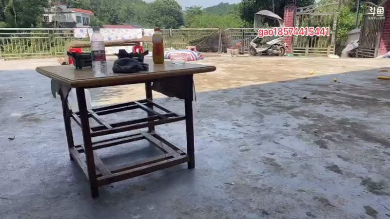 【2021-08-22 11点场】魅力生活i：今天放甲鱼钓