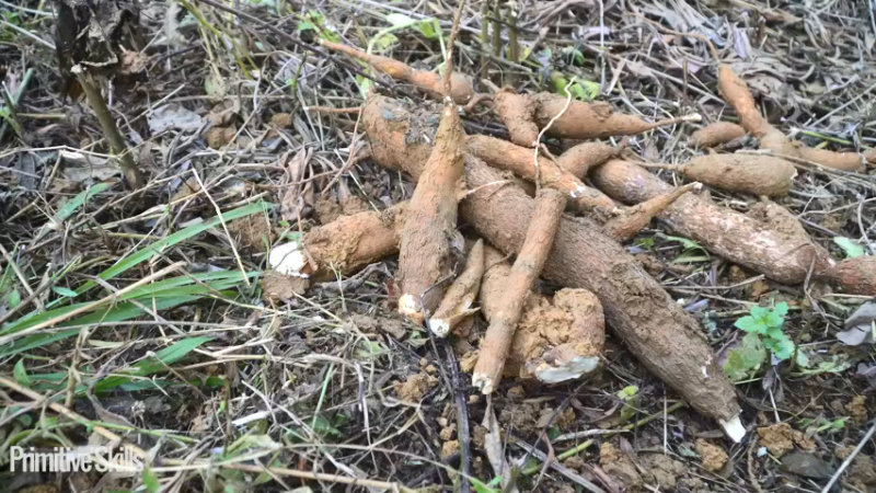 E116棉花和种植13真人我的世界-空手发展-单人炼铁麻烦帮忙三连投币哦