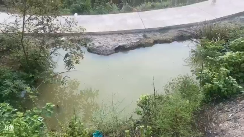 【2021-08-22 17点场】魅力生活i：甲鱼钓收获怎么样？