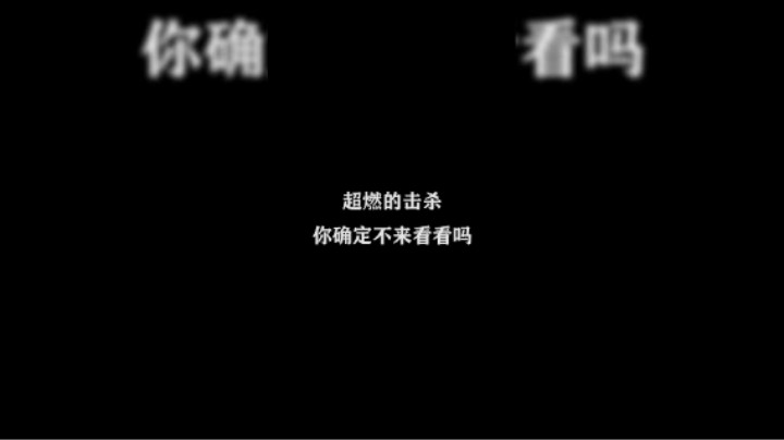 皇玺丶高一刀-赵云-极限击杀片4