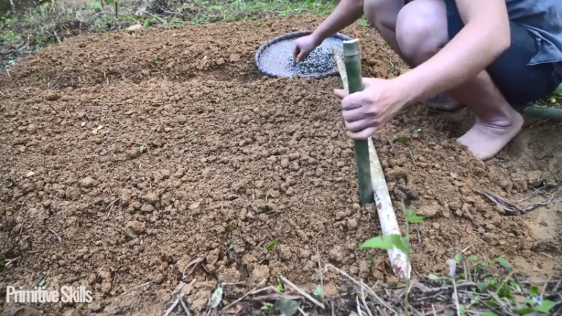 E116棉花和种植14真人我的世界-空手发展-单人炼铁麻烦帮忙三连投币哦