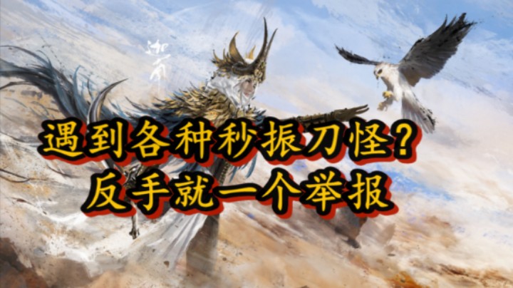 举报外挂成功