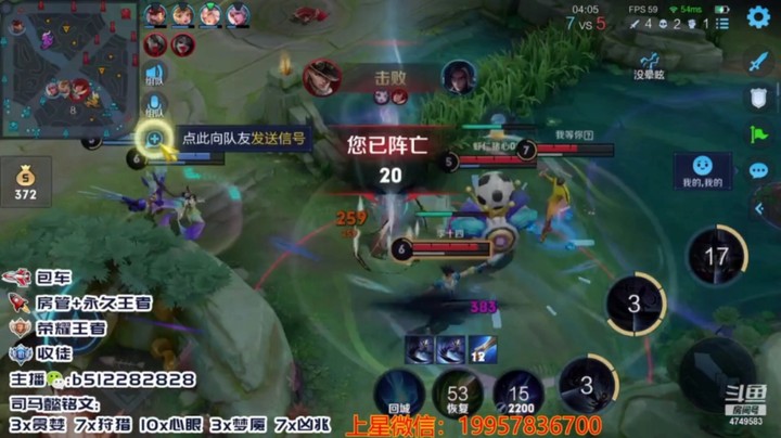 蓝羽日常带粉