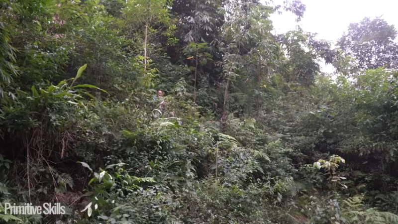 E116棉花和种植6真人我的世界-空手发展-单人炼铁麻烦帮忙三连投币哦