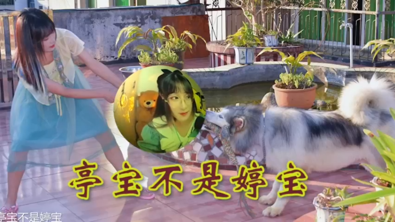 婷宝日常下饭操作17