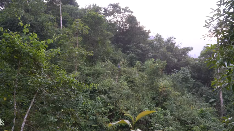 E116棉花和种植5真人我的世界-空手发展-单人炼铁麻烦帮忙三连投币哦