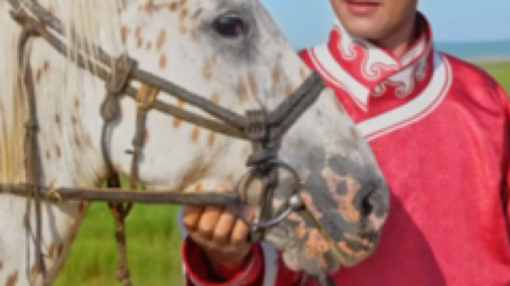 你们猜猜这是谁