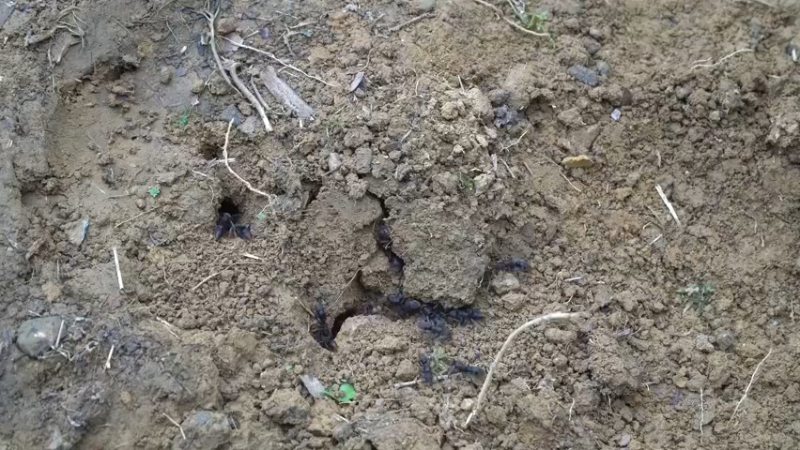 第三季S18完成大水车1投个币吧【真人我的世界-空手发展-单人炼铁】