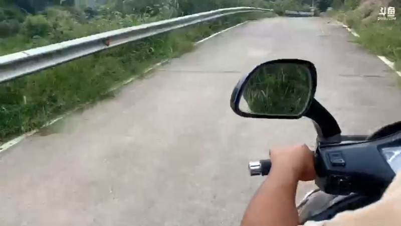 【2021-08-23 10点场】魅力生活i：早上收甲鱼钓