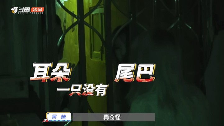 【光速大逃脱第二期花絮】CP粉狂喜！智勋呆妹齐唱儿歌哄娃