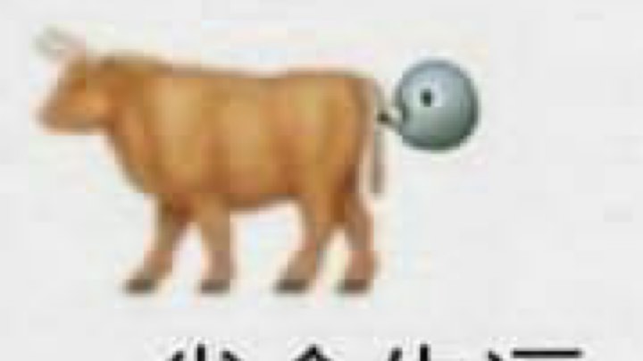 雀氏无聊
