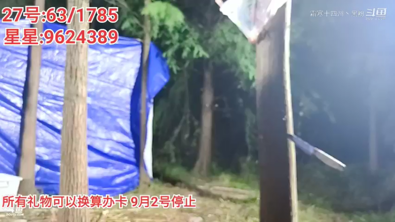 噢！烤鱼？星星这表情我知道啥味道了啊