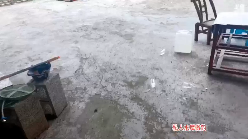 【2021-08-23 08点场】魅力生活i：早上收甲鱼钓