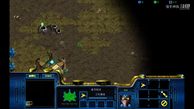 pvz2矿一波的虫2021-08-23