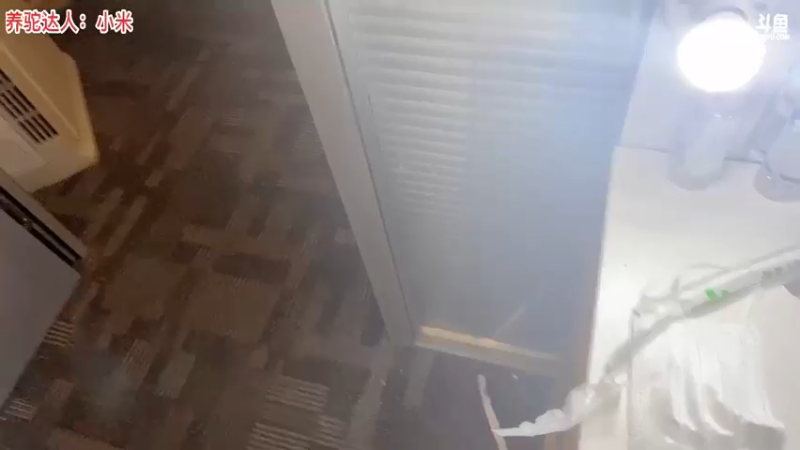 【2021-08-22 23点场】骆歆冲冲冲：骆歆：QAQ