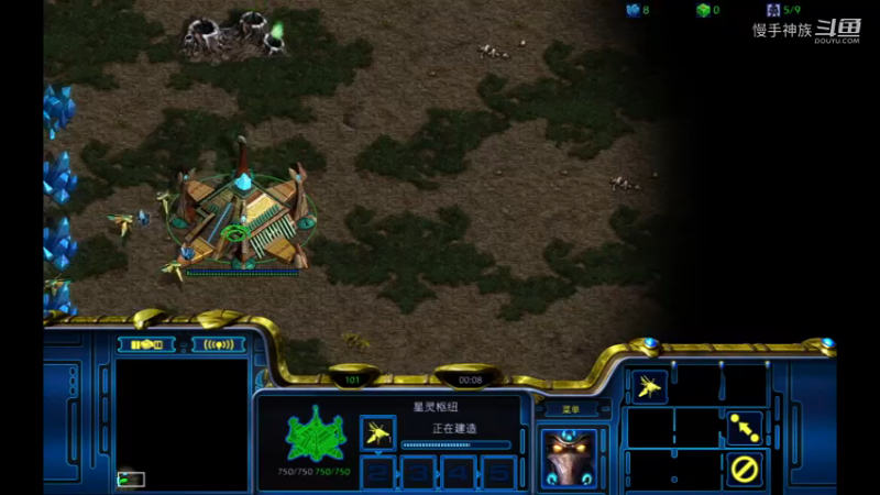 PVZ慢手的节奏2021-08-23