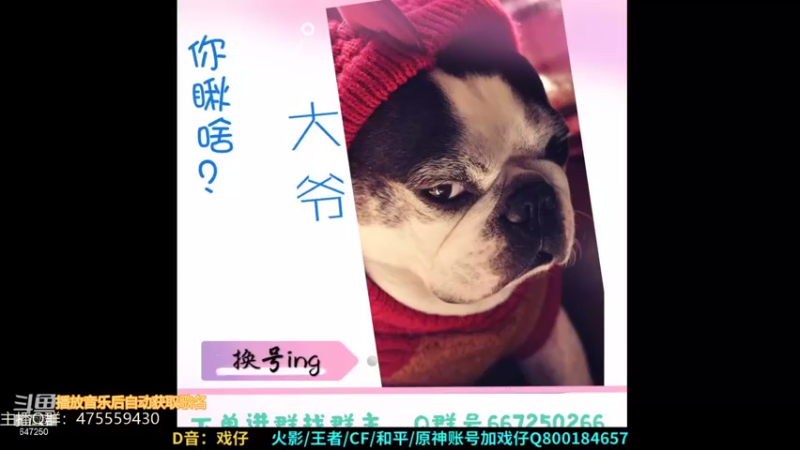 【2021-08-22 22点场】小马锅马杰：马锅：地球照样转。