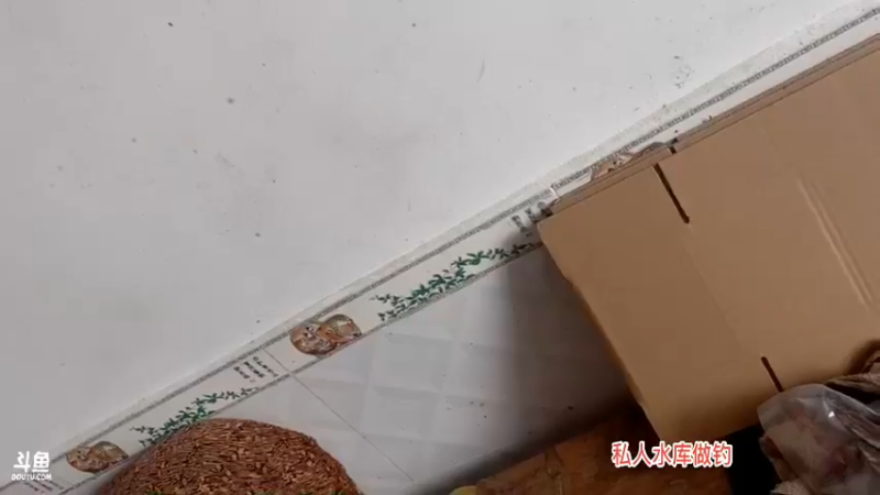 【2021-08-23 10点场】魅力生活i：早上收甲鱼钓