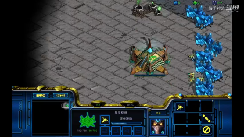 天梯pvp封侦查甲虫局2021-08-23