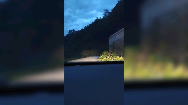 逮虾户