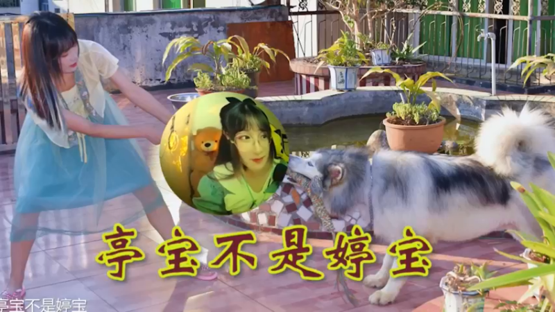 婷宝日常下饭操作22