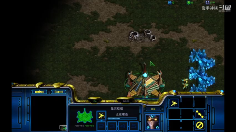 斗魂pvz一波打穿2021-08-23