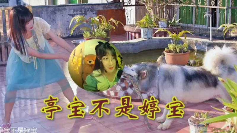 婷宝日常下饭操作21