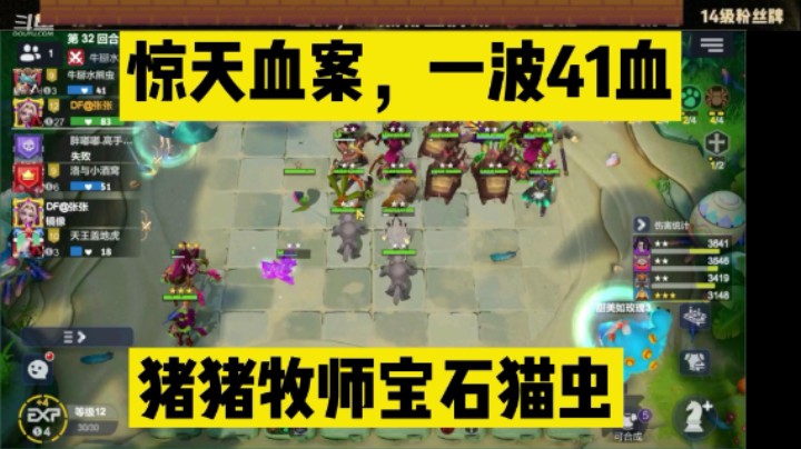 多多自走棋之惊天血案，猪猪牧师灵猫虫，一波41血