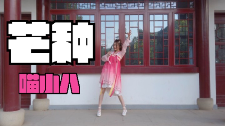 【喵小八】 芒种 马上夏天就要过完了哦