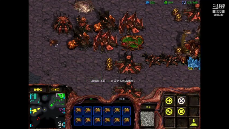 开心星际争霸3v3 1v1 菜鸟高手来加群153745671
