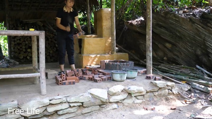 本周更新(3)土味烤炉妹子独自 深入荒野 隐居修仙,投个币吧