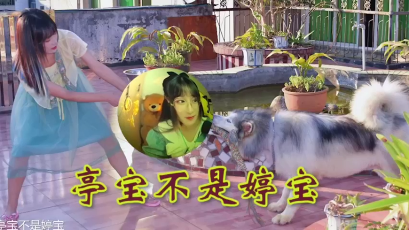 婷宝日常下饭操作23