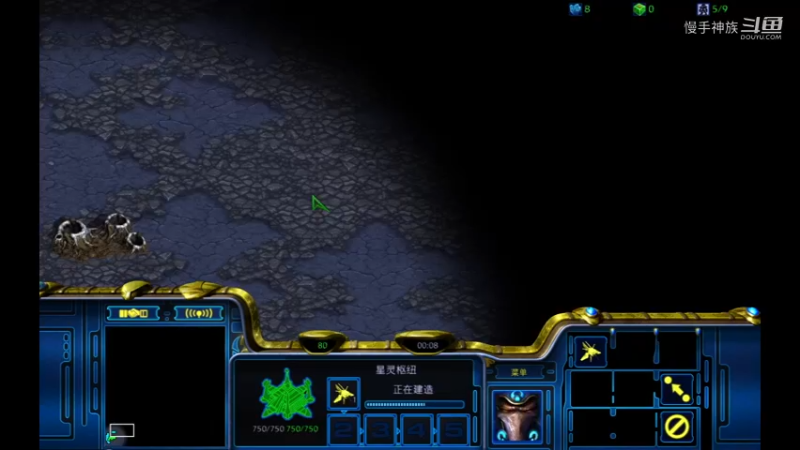 天梯pvz一波没2021-08-23