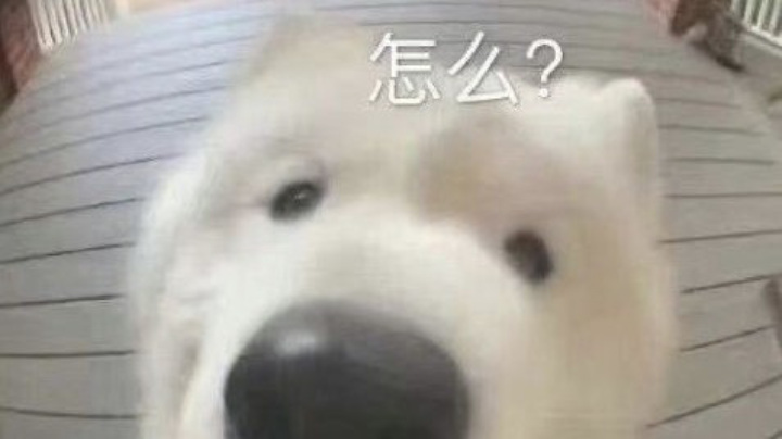 永劫无间菜狗上线