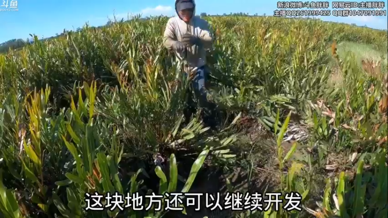 【2021-08-24 03点场】胖胖灬：胖胖OB：韩服\FPX\EDG\RNG