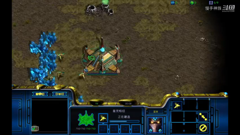 pvz天梯换家流2021-08-23 19-47-38