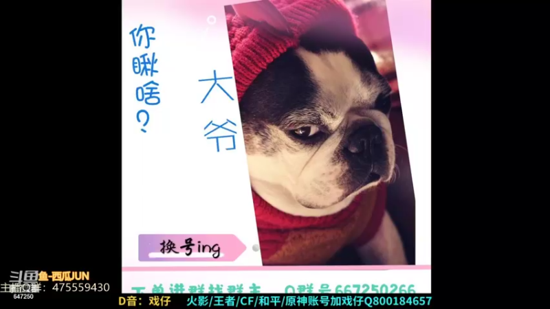 【2021-08-23 21点场】小马锅马杰：城市很大，余生很长，照顾好自己。