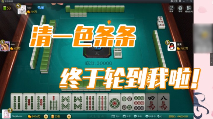 小团团：清一色条条终于轮到我啦！