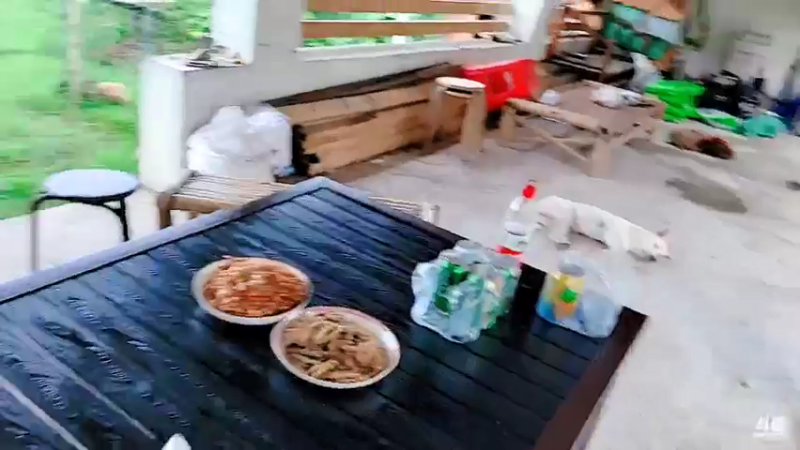 【2021-08-24 17点场】洪湖小肖：今天冲击SSS，拿奖励