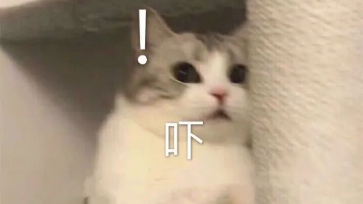 和奶昔一起快乐组排